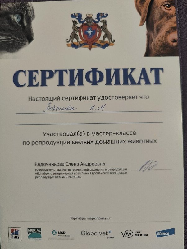 Документ или сертификат