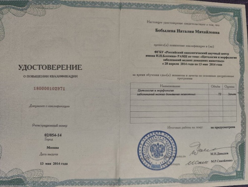 Документ или сертификат