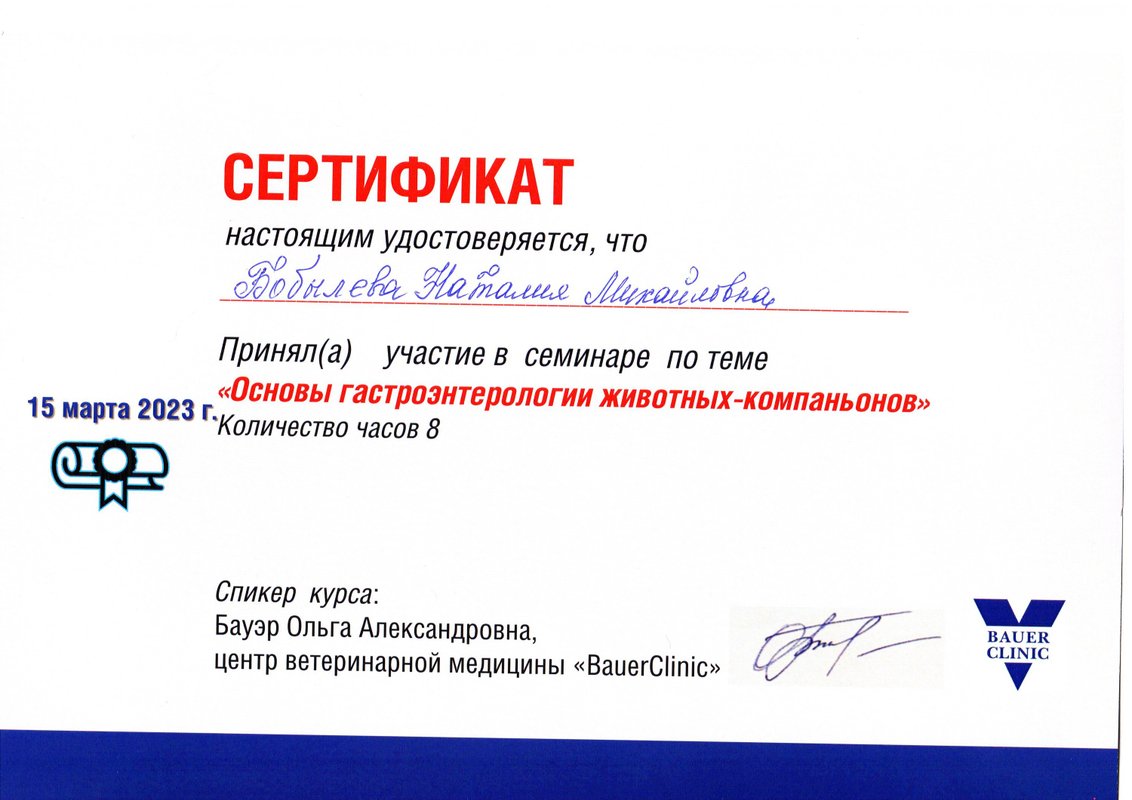 Документ или сертификат