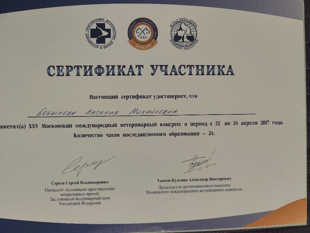 Документ или сертификат