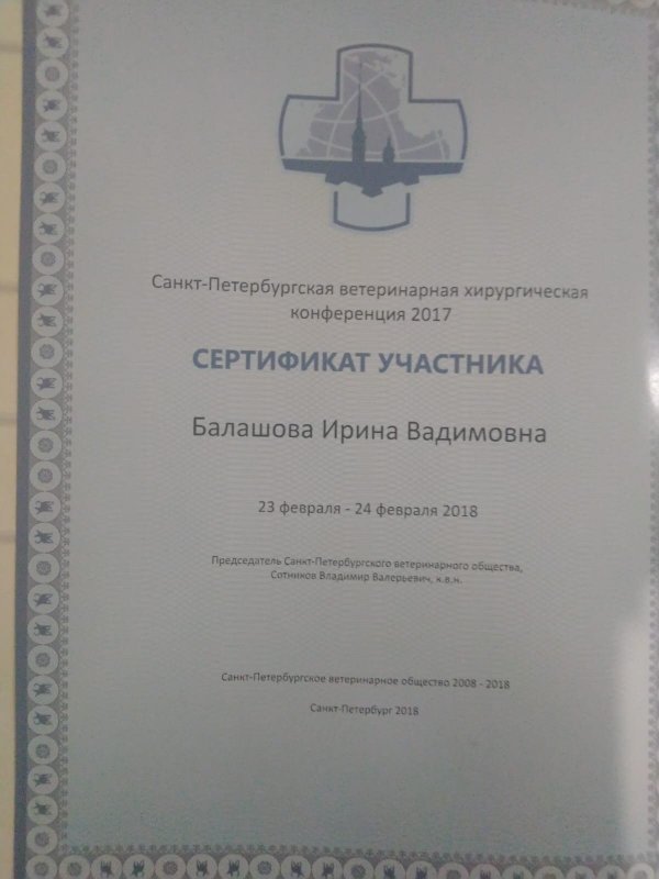 Документ или сертификат