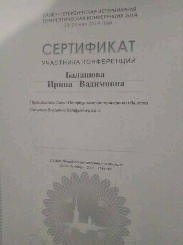 Документ или сертификат