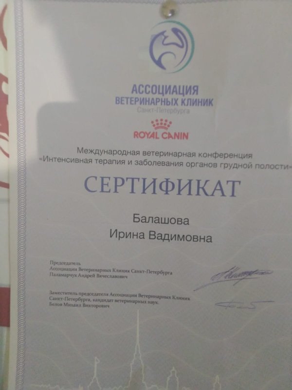 Документ или сертификат