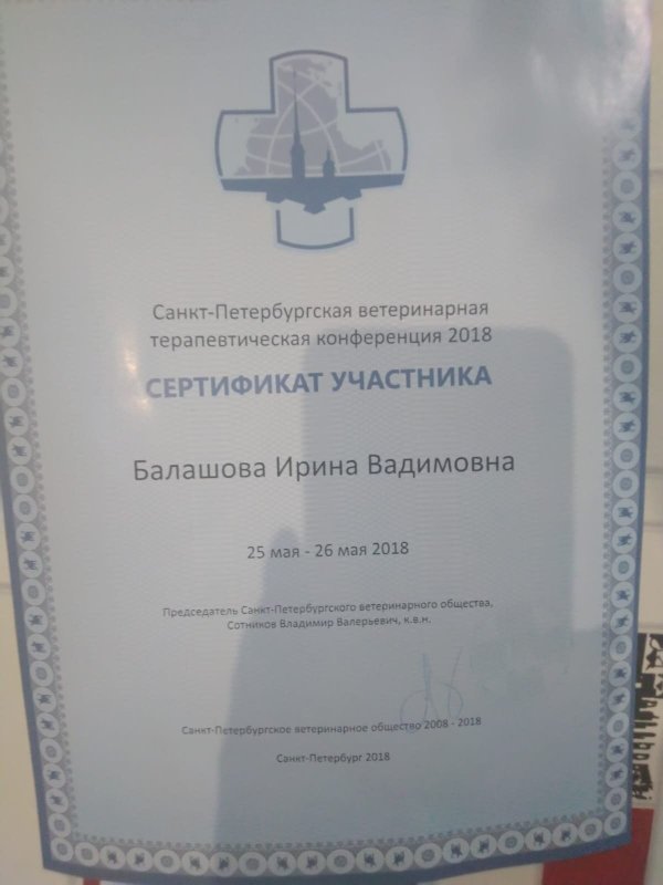 Документ или сертификат