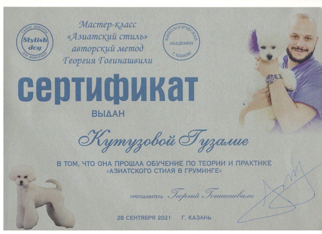 Документ или сертификат
