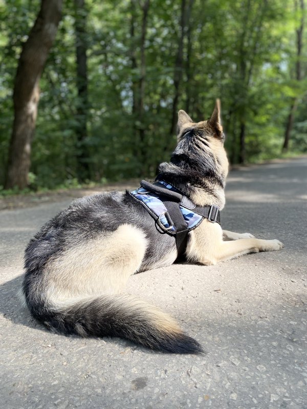 Фото врача