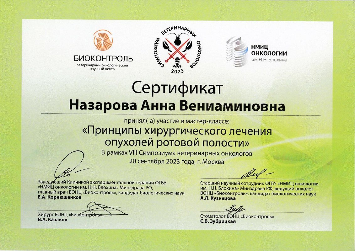 Документ или сертификат