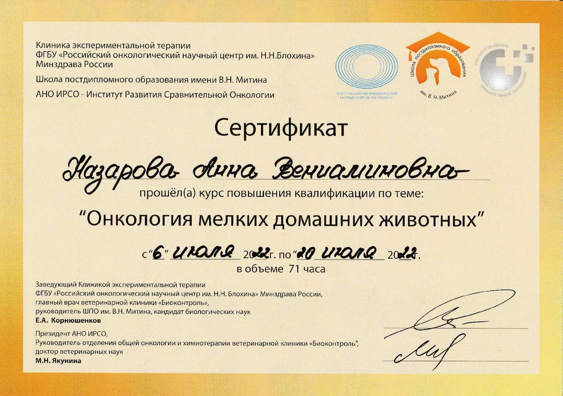 Документ или сертификат