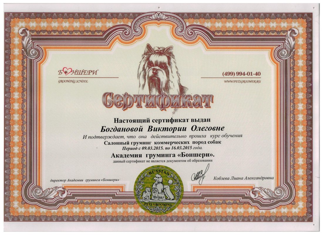Документ или сертификат