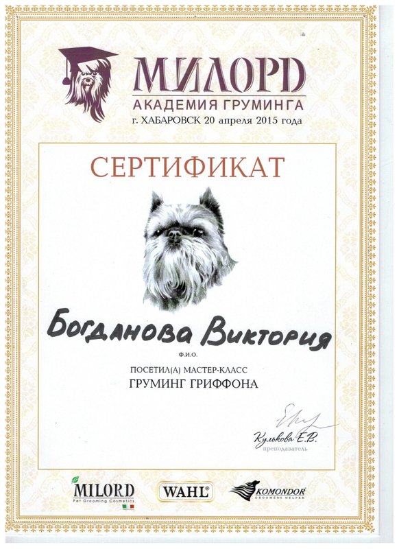 Документ или сертификат