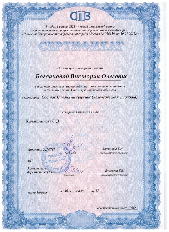Документ или сертификат