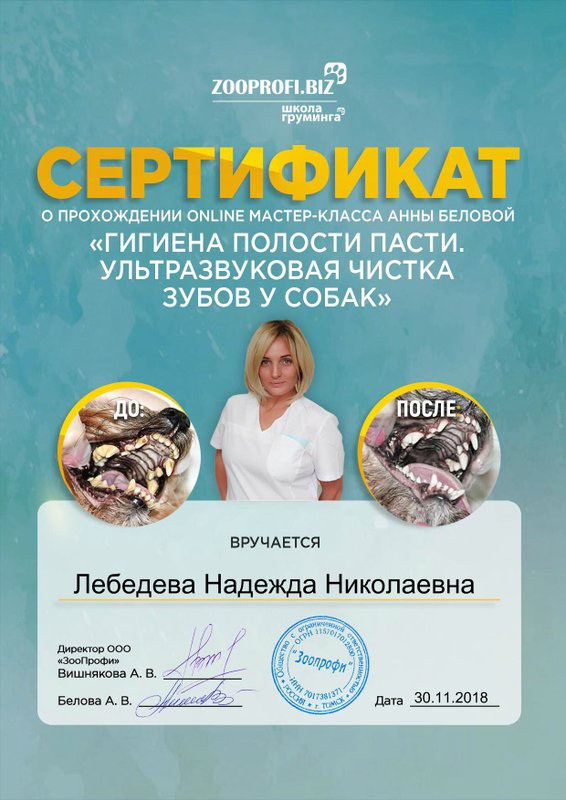 Документ или сертификат