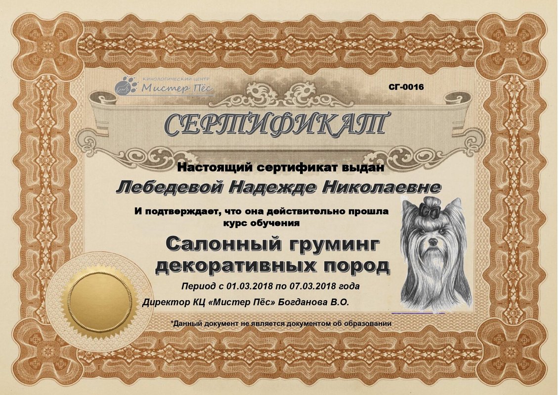 Документ или сертификат
