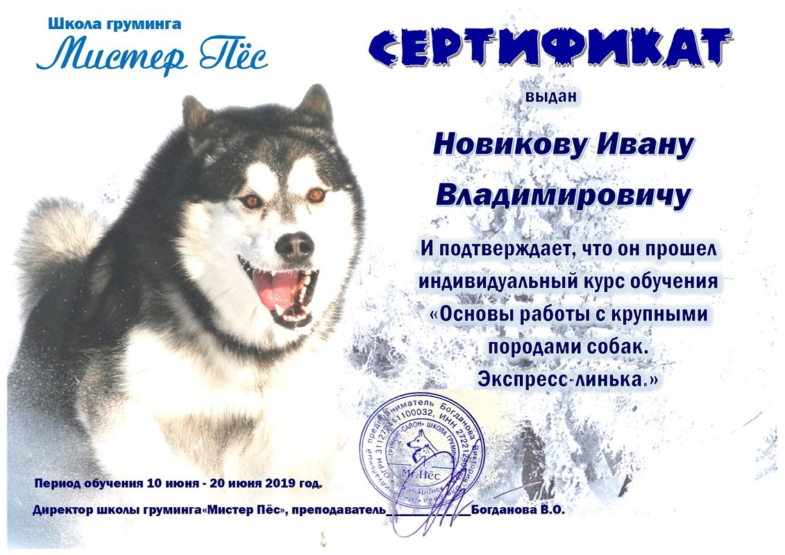 Документ или сертификат