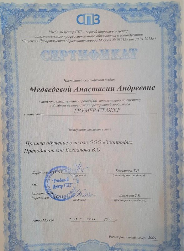 Документ или сертификат