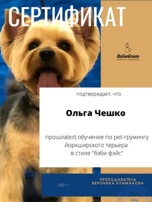 Фото врача Ольга Чешко