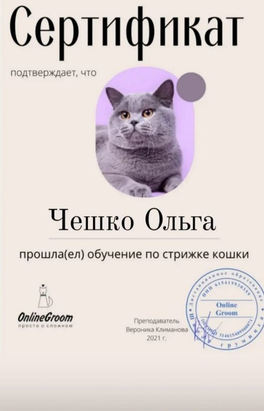 Документ или сертификат