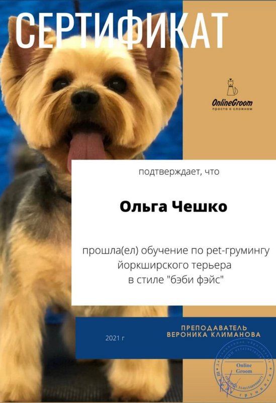 Документ или сертификат