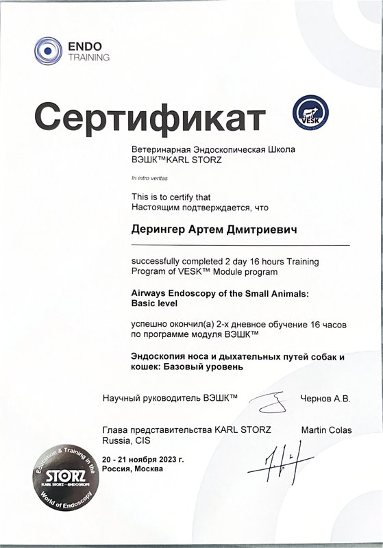 Документ или сертификат