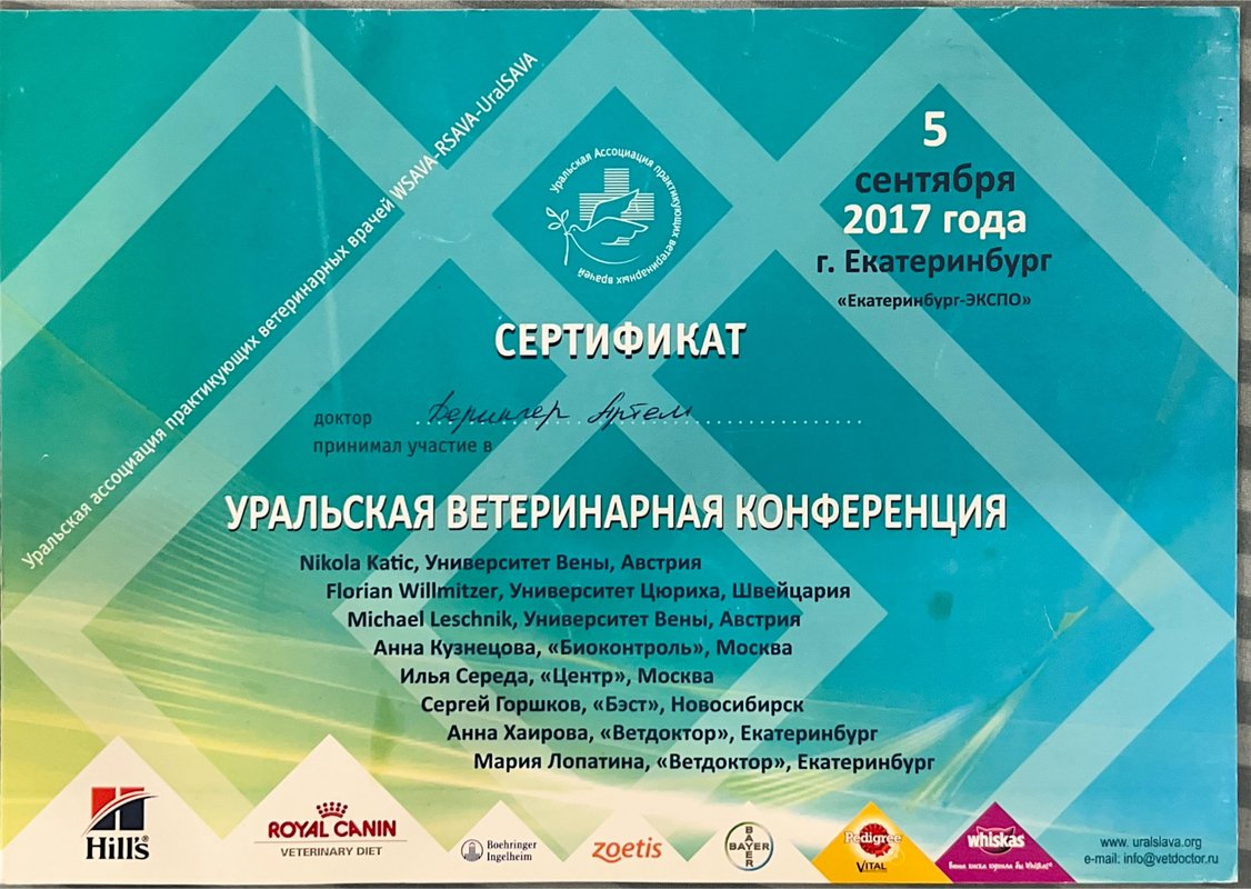 Документ или сертификат