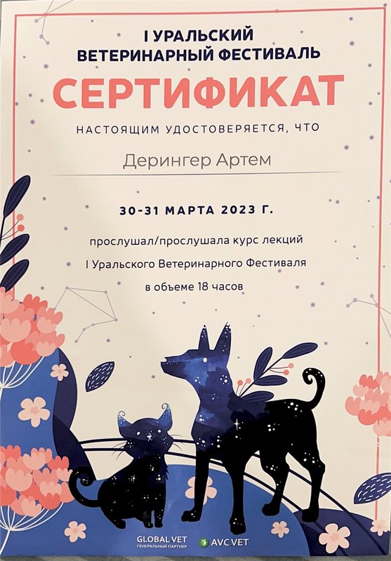 Документ или сертификат