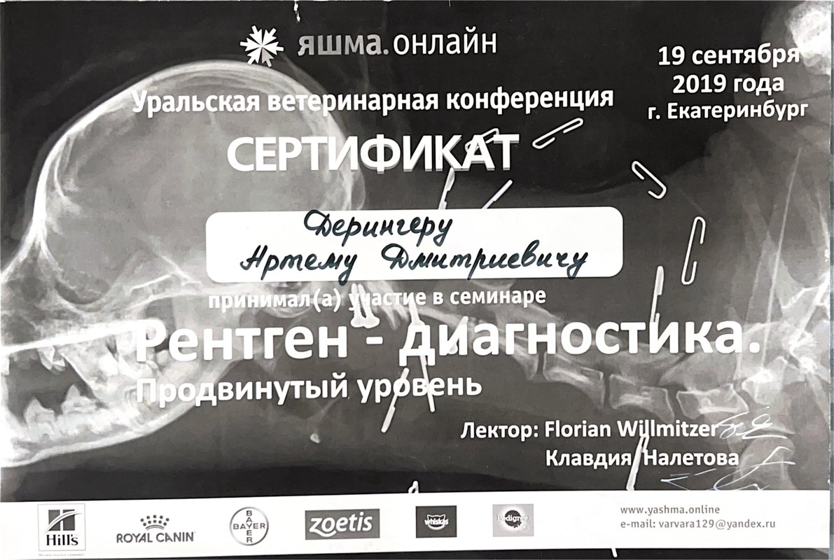 Документ или сертификат