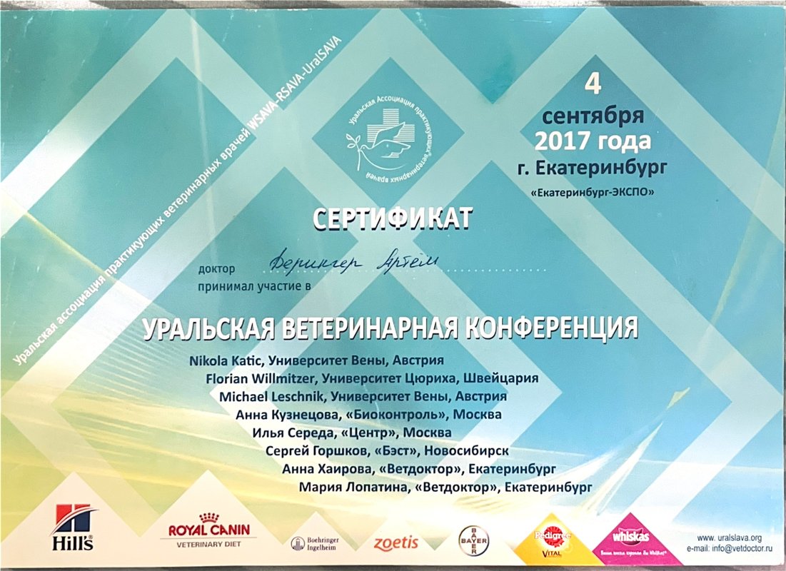 Документ или сертификат