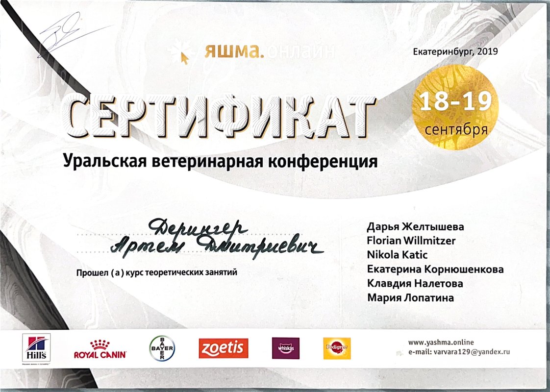 Документ или сертификат