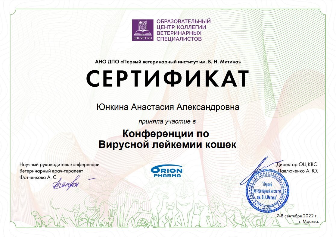 Документ или сертификат