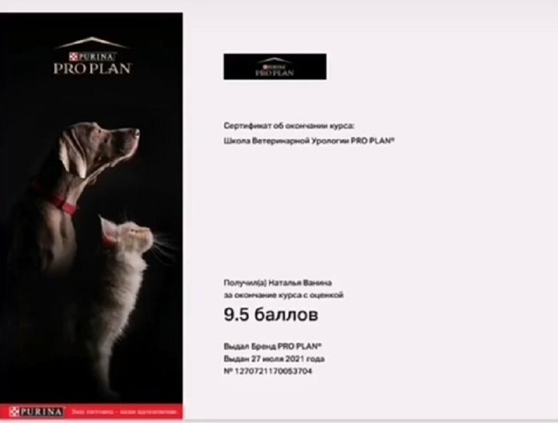 Документ или сертификат