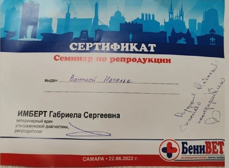 Документ или сертификат
