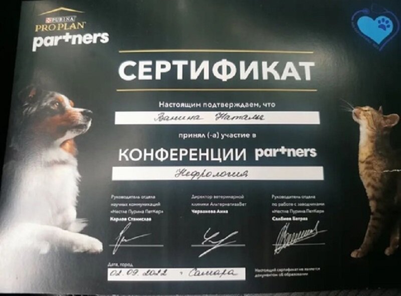 Документ или сертификат