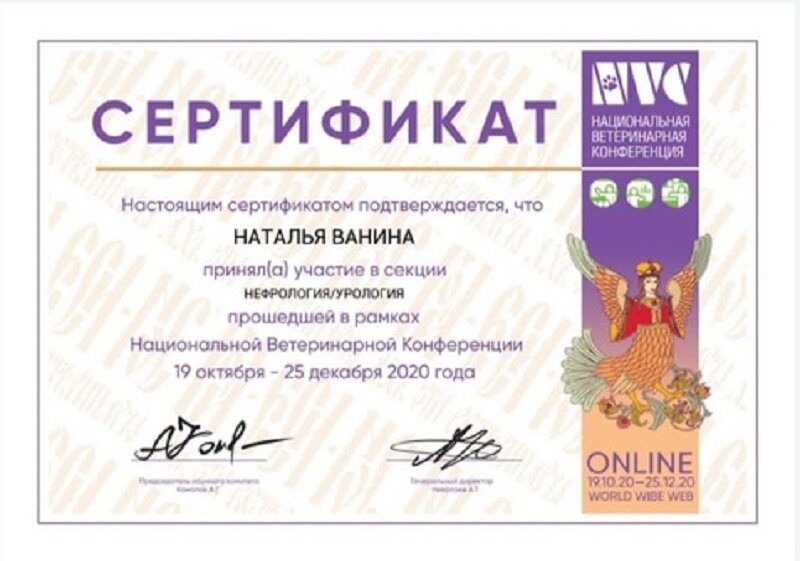Документ или сертификат
