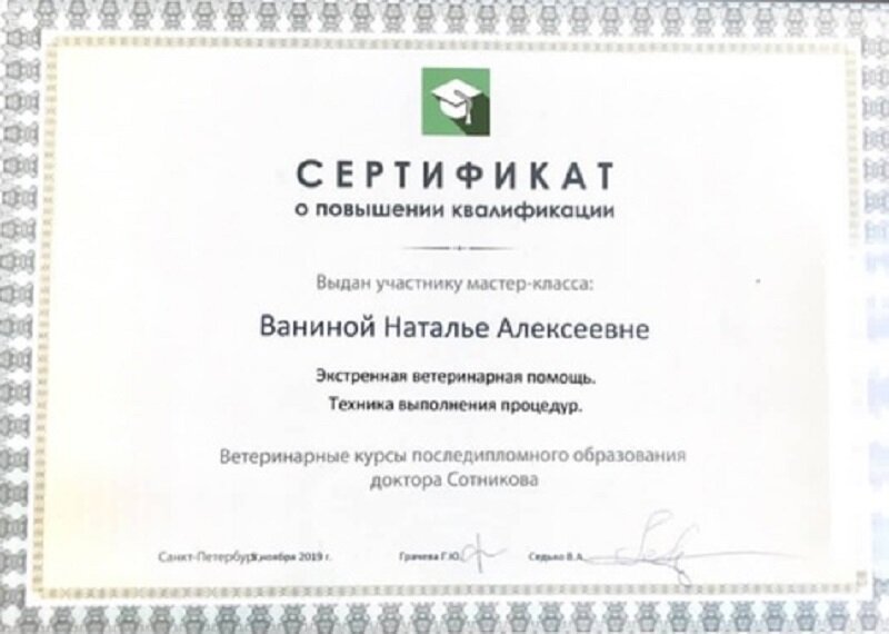 Документ или сертификат