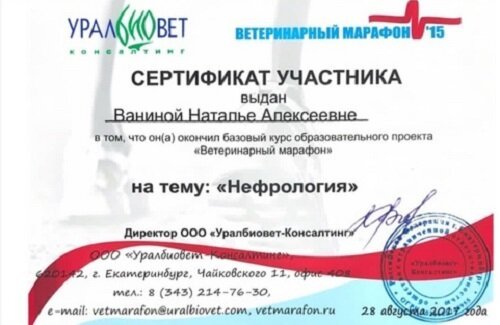 Документ или сертификат
