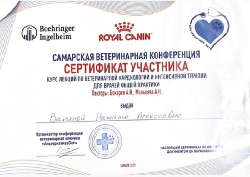 Документ или сертификат