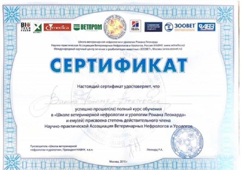 Документ или сертификат