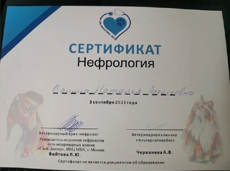 Документ или сертификат