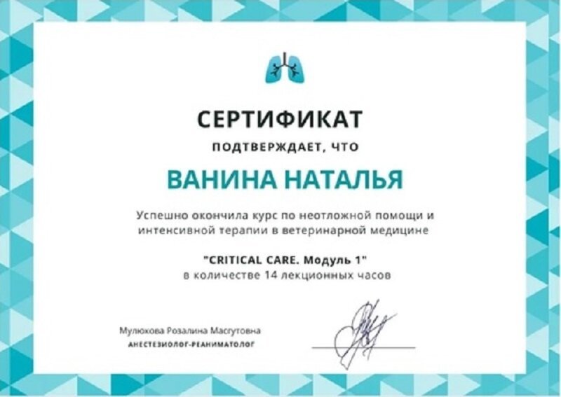 Документ или сертификат