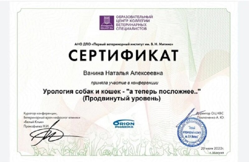 Документ или сертификат