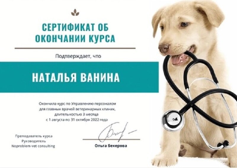 Документ или сертификат