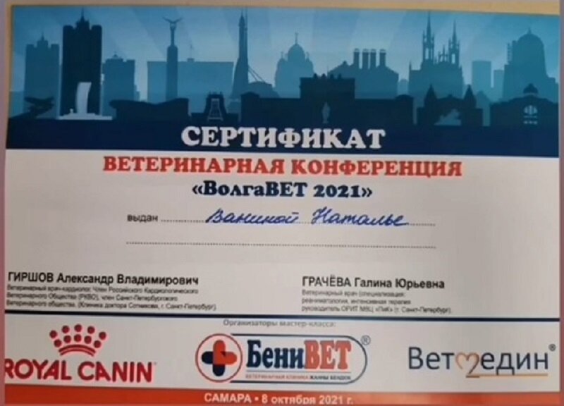 Документ или сертификат
