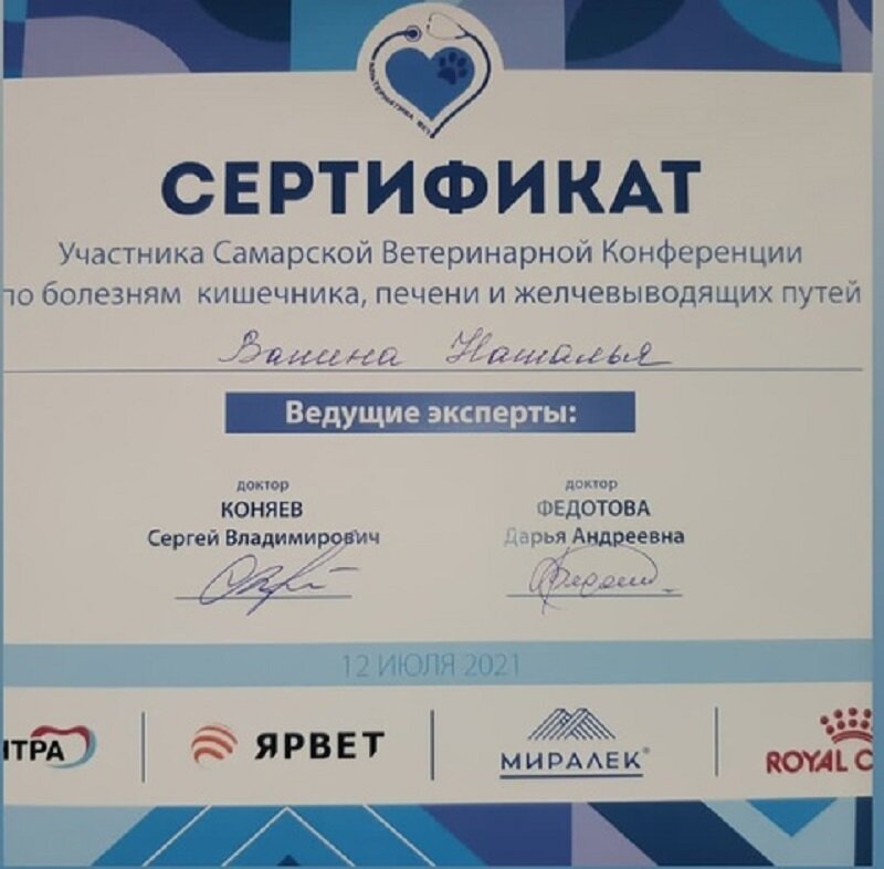 Документ или сертификат