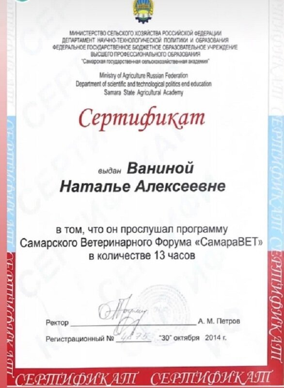 Документ или сертификат