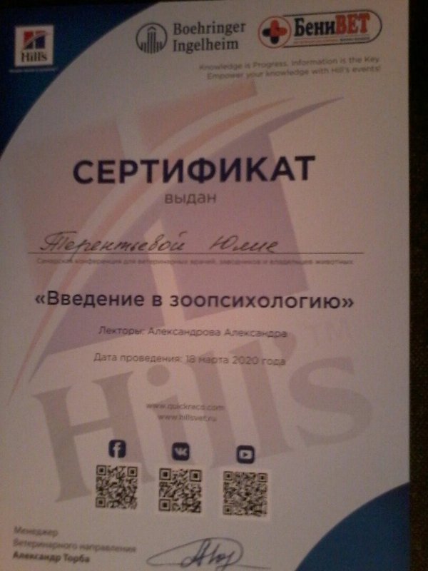 Документ или сертификат