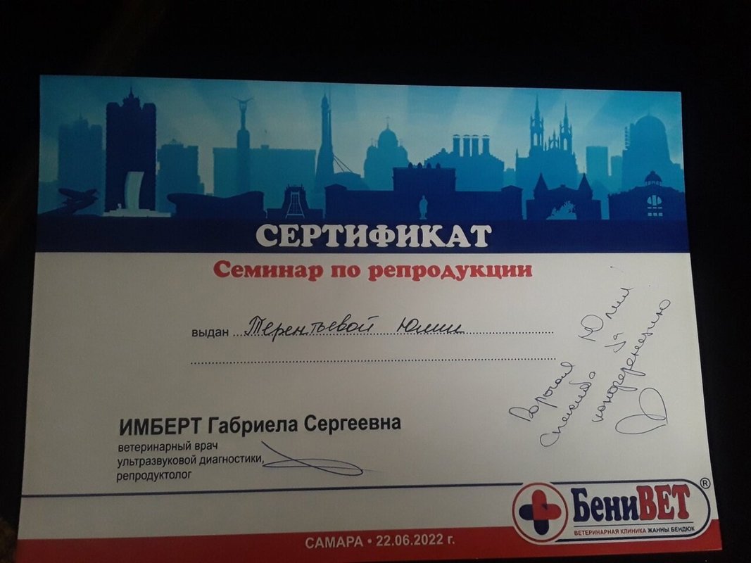 Документ или сертификат