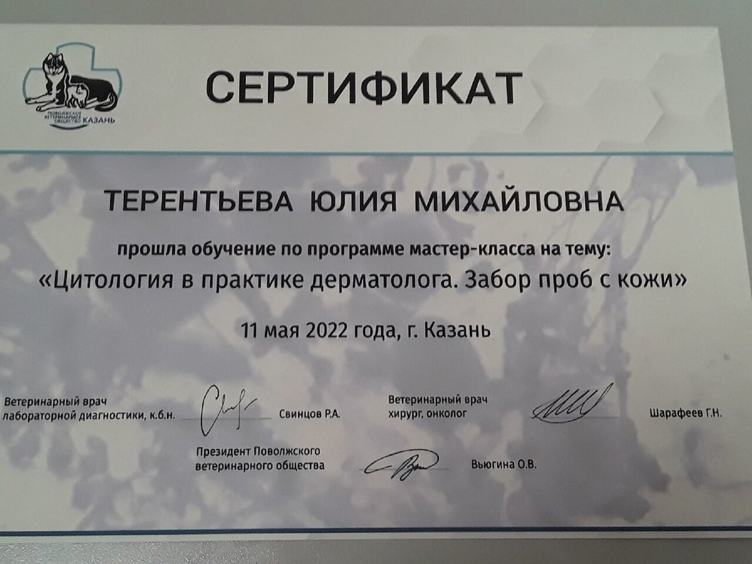 Документ или сертификат