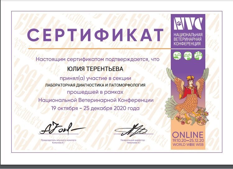 Документ или сертификат