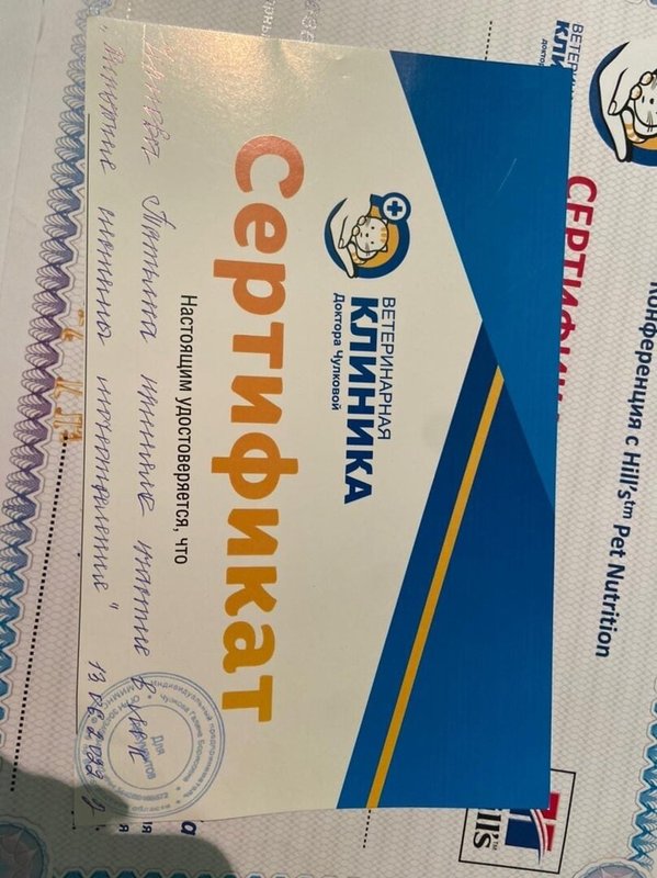 Документ или сертификат