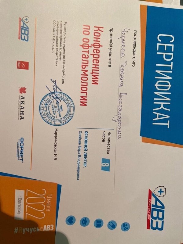 Документ или сертификат